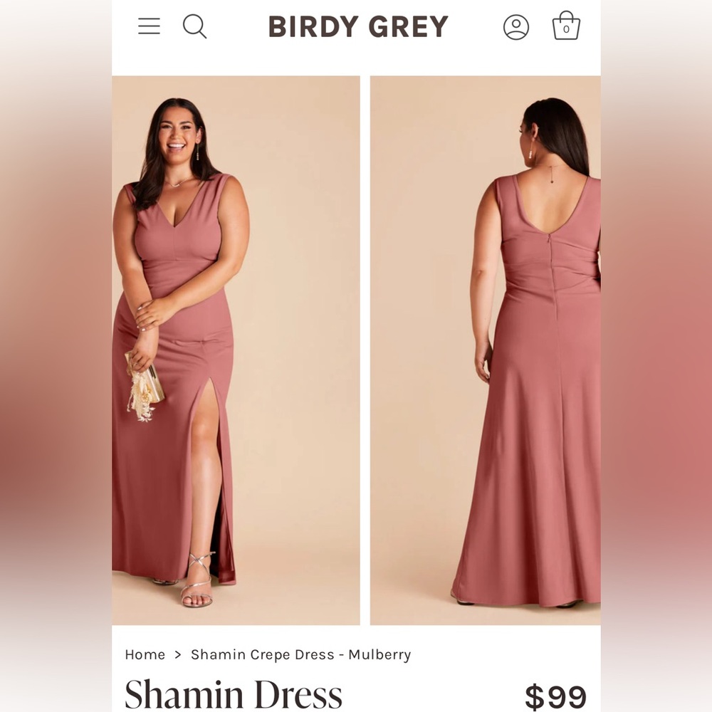 Birdygrey - Large - NWT - Shamin V neck Crepe with Slit - Color: Rose Quartz
